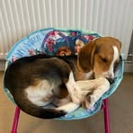 Evie McCall - Facebook