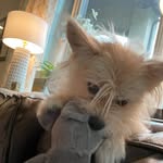 Evie McCallum - @mccallum.evie - Instagram