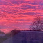 𝓔𝓿𝓲𝓮 𝓶𝓬𝓬𝓪𝓻𝓽𝓱𝔂 💖 - @evesxoxoxx - Instagram
