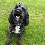 Evie McDowell - Facebook