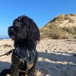 Evie McDowell - Facebook