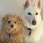 Evie Eisenstein McKee - @evieeisenstein - Instagram