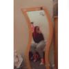 𝔼𝕧𝕚𝕖𝕄𝕔𝕃𝕒𝕦𝕘𝕙𝕝𝕚𝕟♡︎ - @evie.mclaughlin1 - TikTok