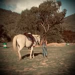Evid Mcmahon - @evie_mcmahon - Instagram
