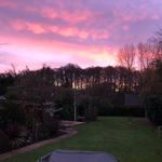 evie_meadows132 - @evie_meadows132 - Instagram