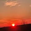 eviemeyer - @i.like.cats14.1 - TikTok