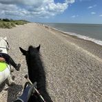 Evie Miles - Facebook