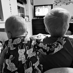 @miles_and_evie - Instagram