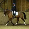 Evie Morgan - @eviemorgan15 - TikTok