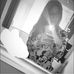 Evie Morris - Facebook