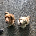 Evie Morrison - @evelinegray502 - Instagram