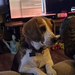 Evie Morton - @evie.morton.5 - Instagram