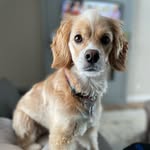 Evie Mueller - @mueevel31_ - Instagram