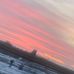 Evie Murphy - Facebook