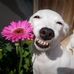 Evie Murphy - Facebook
