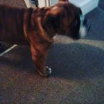 evie murphy - @xeviemurphy - Instagram