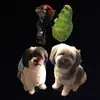eviepainter - @pet_lover164 - TikTok