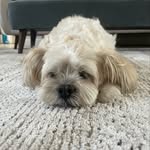 Evie Patterson - @eviepattersonpriv - Instagram