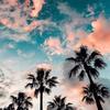 Evie Payne - @3viepayn - TikTok