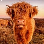 Evie Peck - @evie._.grace13 - Instagram