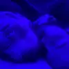 SWEETDADDYV801 - @evieperez801 - TikTok