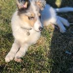 Evie Ryann Phelps - Facebook
