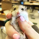 Evie Potter - @evie_5oc_jfg - Instagram