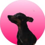 uma nenen 🤏🏼🐕 - @evie_princesinha - Instagram