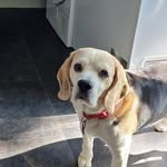 evie Reed - @eviereed615 - Instagram