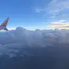 Evie_Reed - @evie_reed3 - TikTok