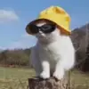Evie_rennocks - @evie_rennocks - TikTok