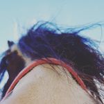 Evie Rice - @evie_rice_777 - Instagram