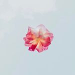 Everly x - @evie_richards_ - Instagram