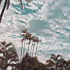 evie.riley1 - @evie.riley1 - TikTok