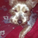 Evie Ritchie - @evie.ritchie.58 - Instagram