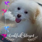 Evie Rivera - Facebook