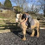 evie🤍🧡robinson - @evie_.robinson - Instagram
