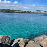Evie roth🌊🌴 - @evieroth18 - Instagram