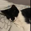 evierowanxox - @evierowanxox - TikTok