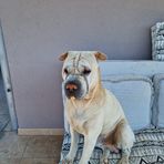 Evie Schmidt - Facebook