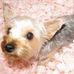 Evie Schultz - Facebook