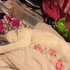 evieshepherd - @eviesheps - TikTok