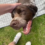 Evie Short - Facebook
