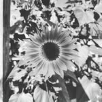@evieshort_photos - Instagram