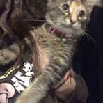 Evie Small - Facebook