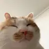 eviesteele - @eviesteele1 - TikTok