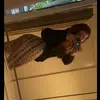 evie stokes🤍 - @eviestokesxo - TikTok