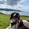 Evie - @eviesutherland905 - TikTok