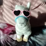 Evie Thomson - @collin.the.alpaca - Instagram