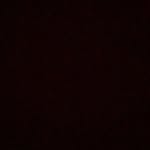 Evie Thomson - @eviemaythomson11 - Instagram